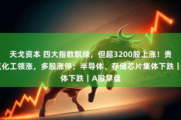 天戈资本 四大指数飘绿，但超3200股上涨！贵金属、氟化工领涨，多股涨停；半导体、存储芯片集体下跌｜A股早盘